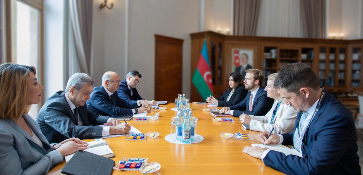  Azərbaycan-ABŞ enerji əməkdaşlığında yeni mərhələnin prioritetləri müzakirə olunub